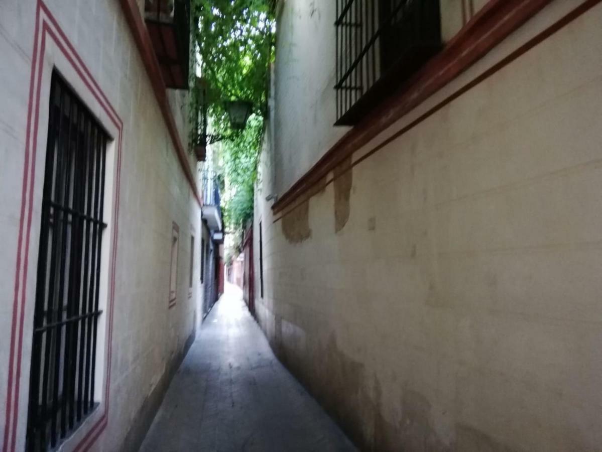 Apartamento En La Juderia De Sevilla Zewnętrze zdjęcie